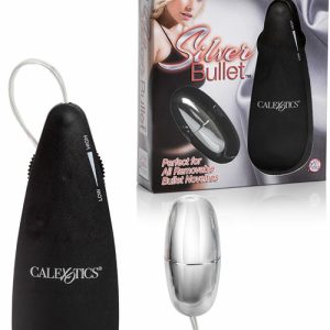 Silver 2.2″ Bullet Bullet Vibrators Silver